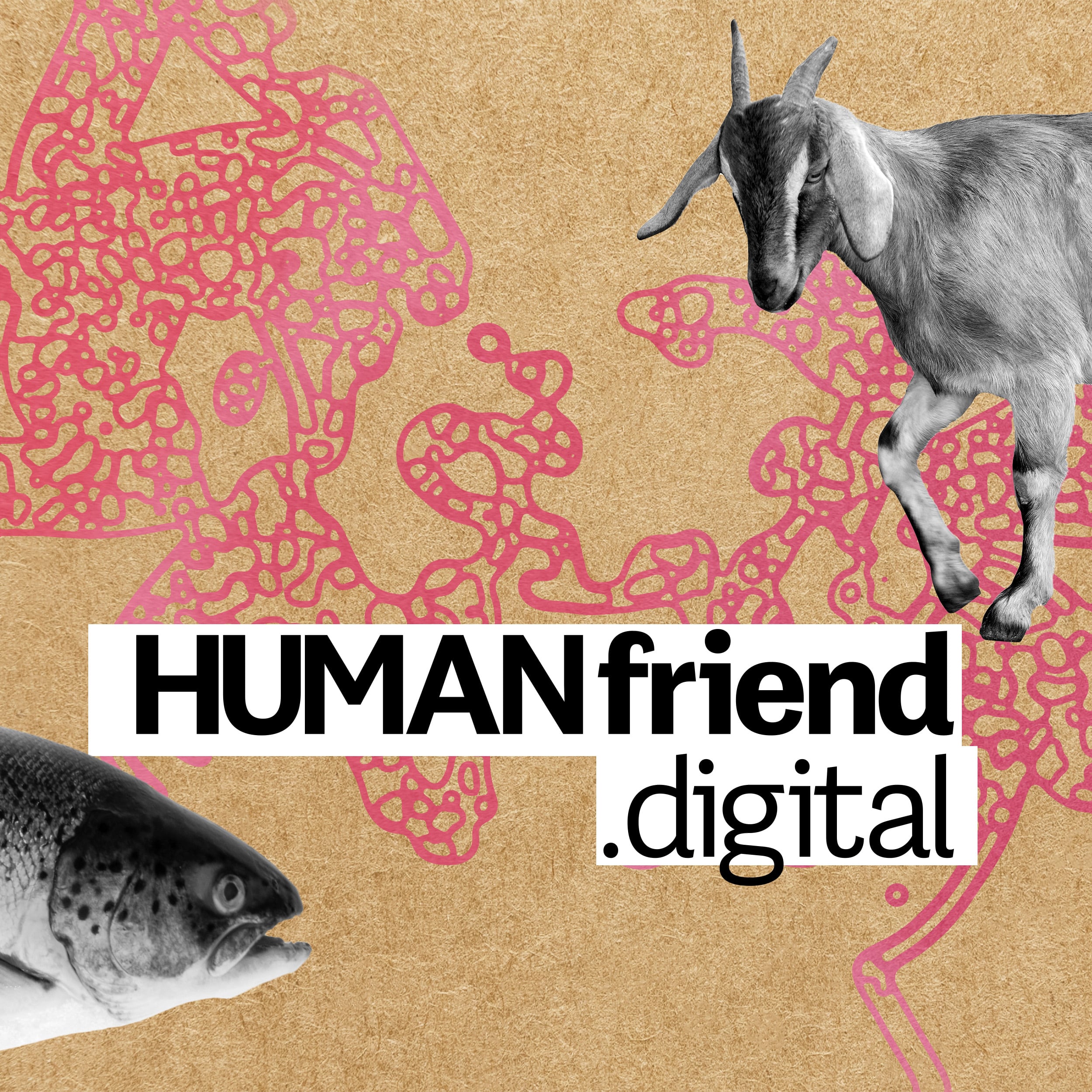 Human Friend Digital Pod